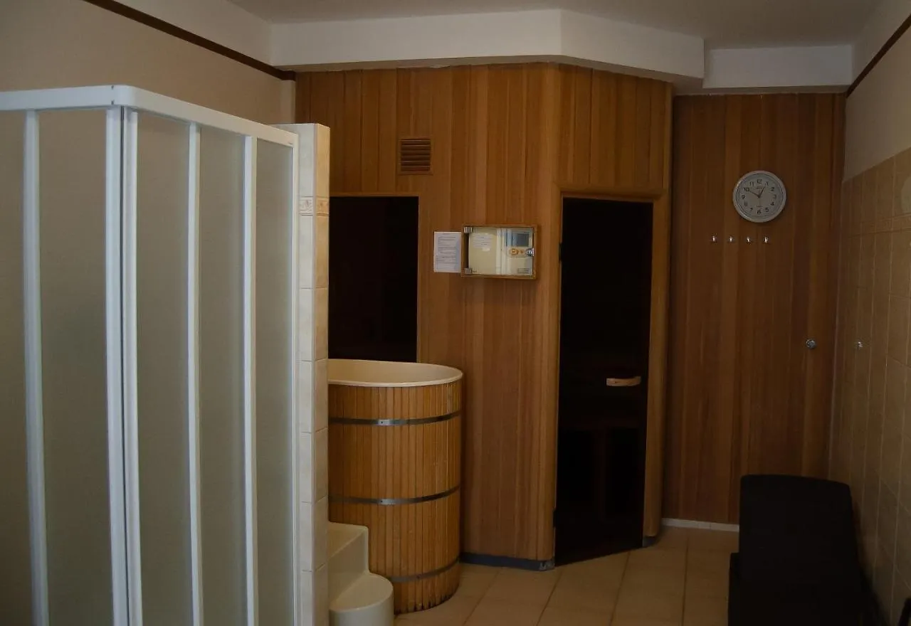 Hotel Richard Spa & Wellness Марианске-Лазне 4*,