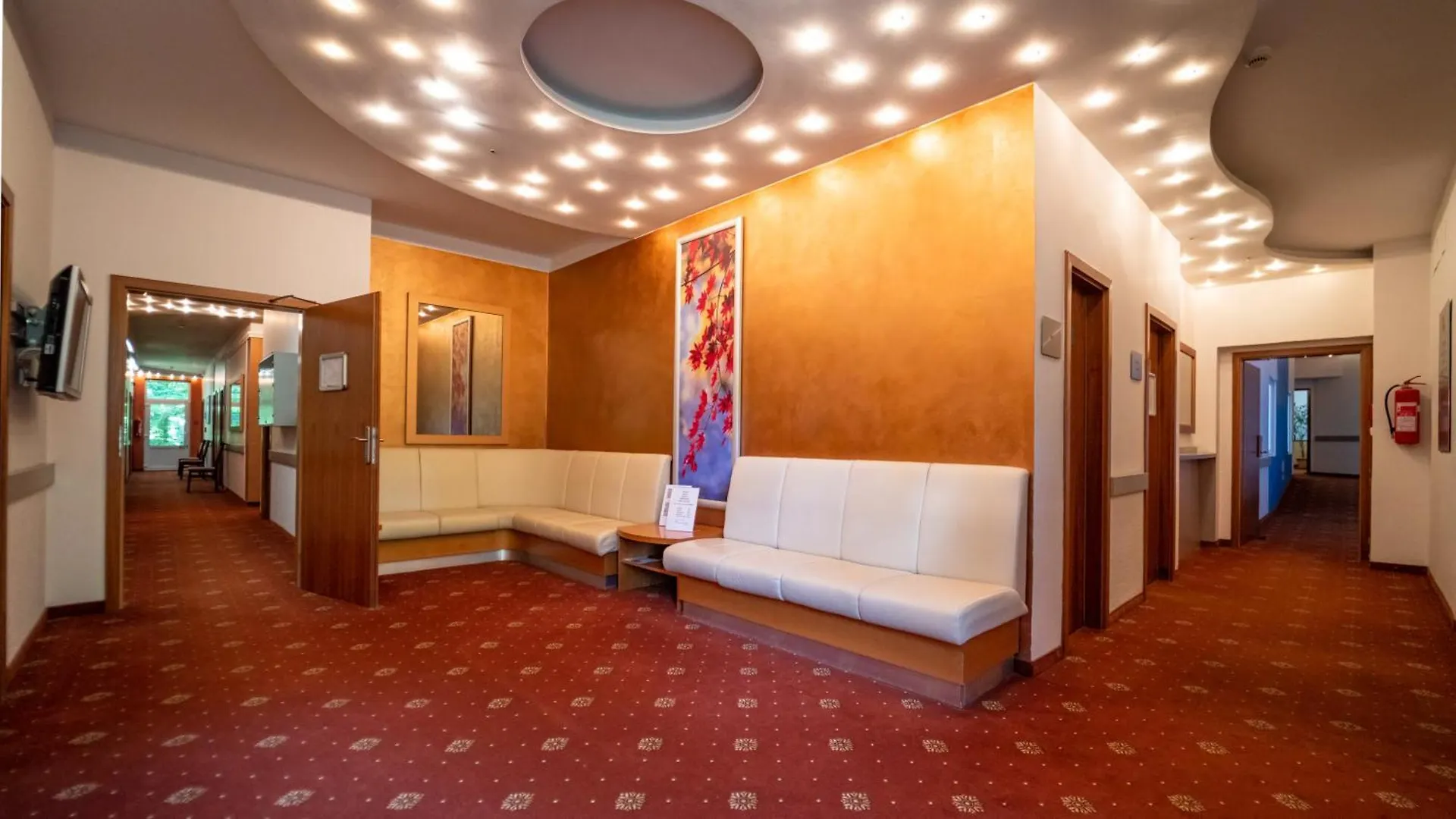 Hotel Richard Spa & Wellness Марианске-Лазне
