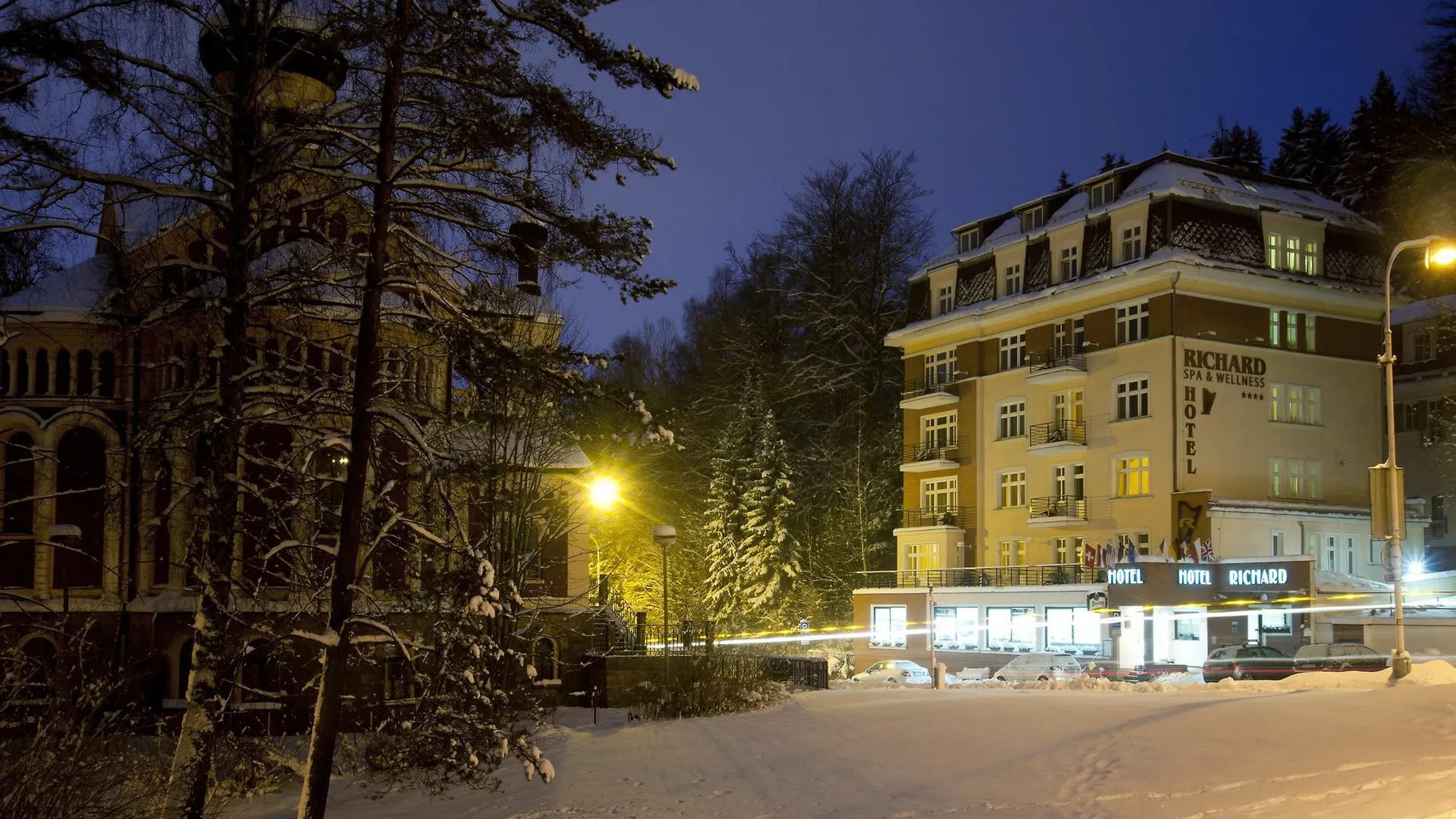 Hotel Richard Spa & Wellness Марианске-Лазне